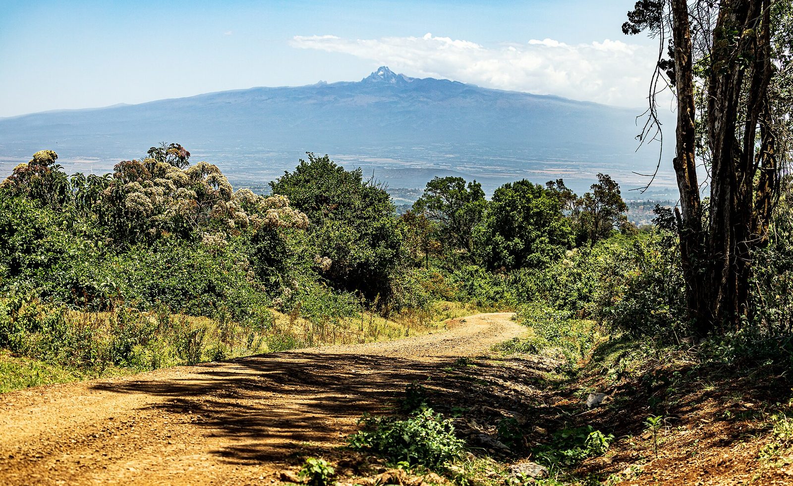Aberdare & Mount Kenya Gateway — 3 Days