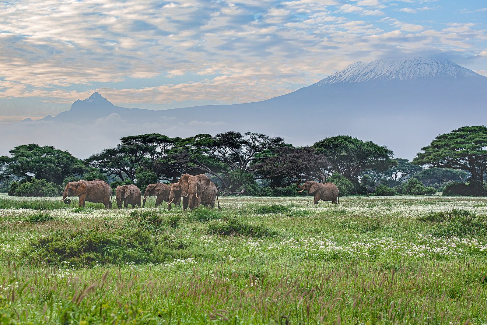 Amboseli Under Kilimanjaro — 3 Days