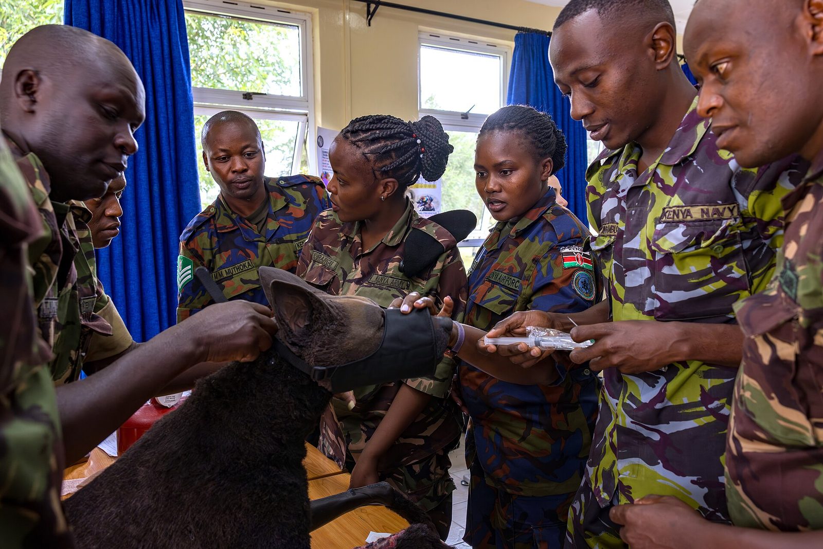 Best of Kenya & Uganda — Wildlife & Gorillas — 11 Days