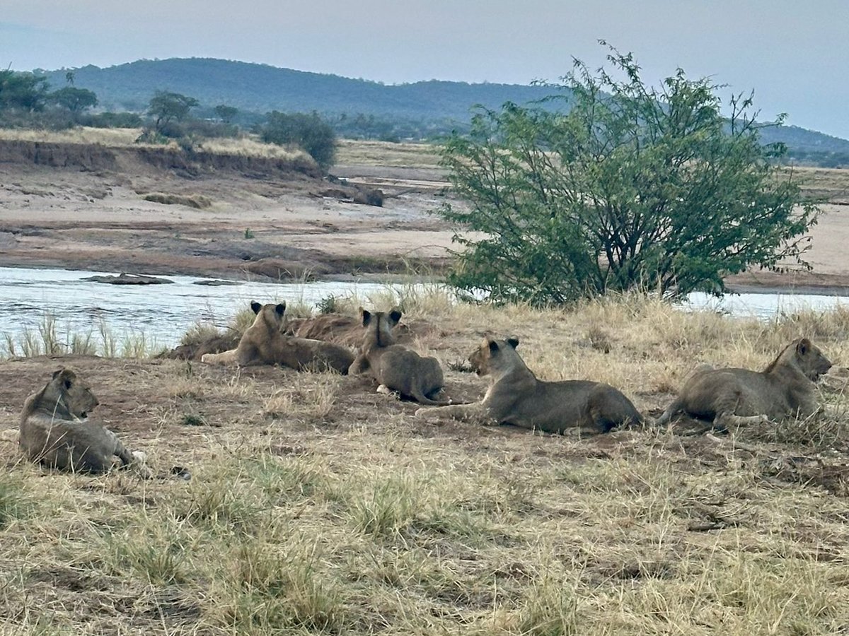 Moyale–Marsabit–Samburu Overland — 5 Days