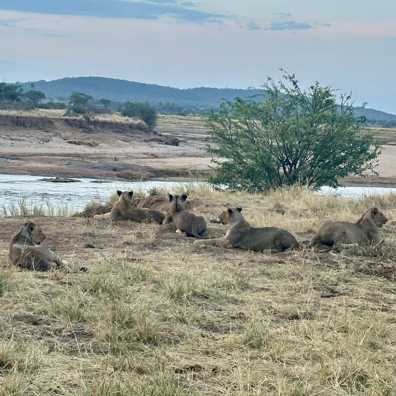 Moyale–Marsabit–Samburu Overland — 5 Days