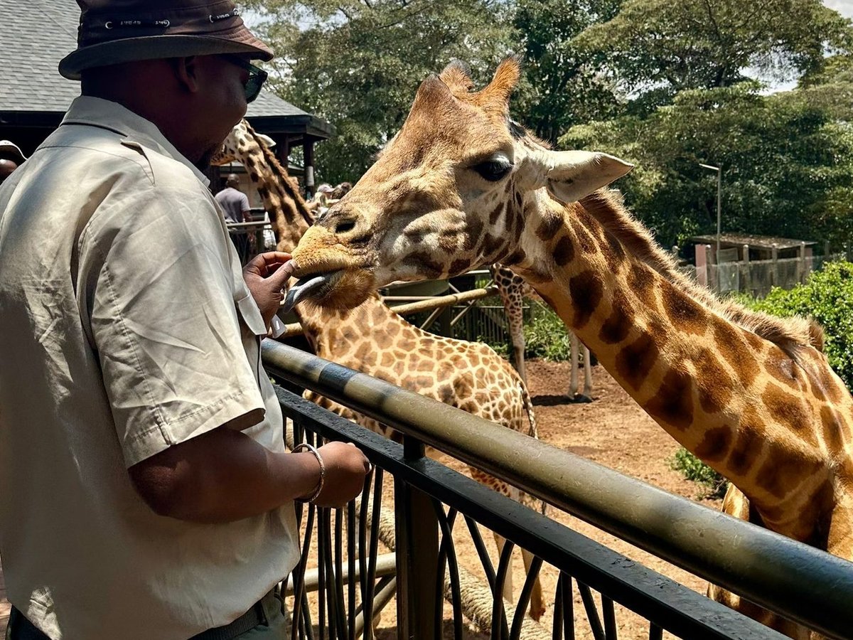 Nairobi City Tour — Giraffe Centre & Karen Blixen
