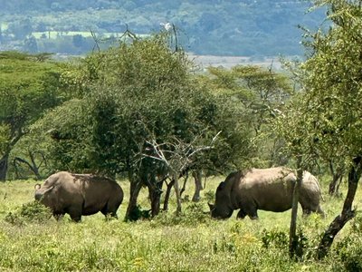 Lake Nakuru