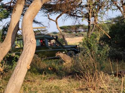 Samburu culture