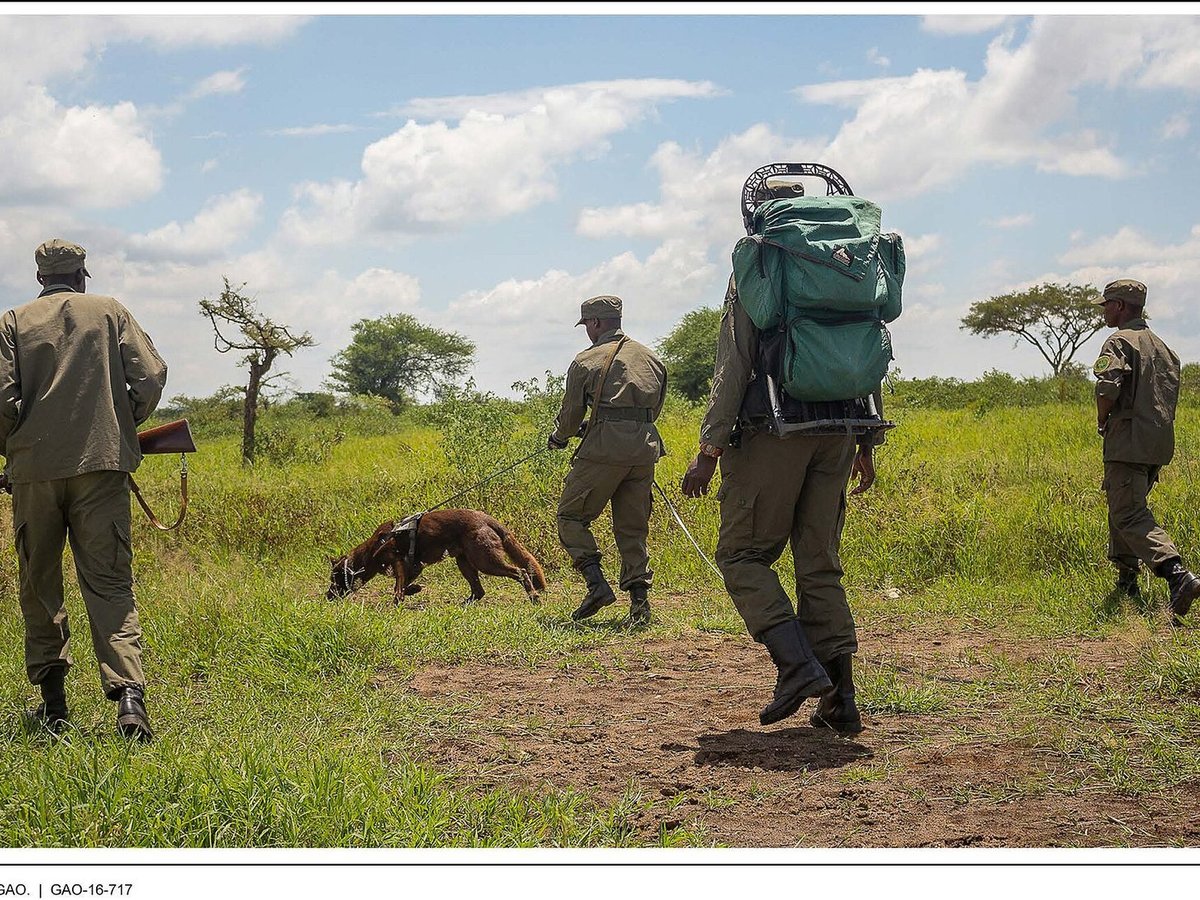 Lake Manyara + Tarangire Short Safari — 3 Days