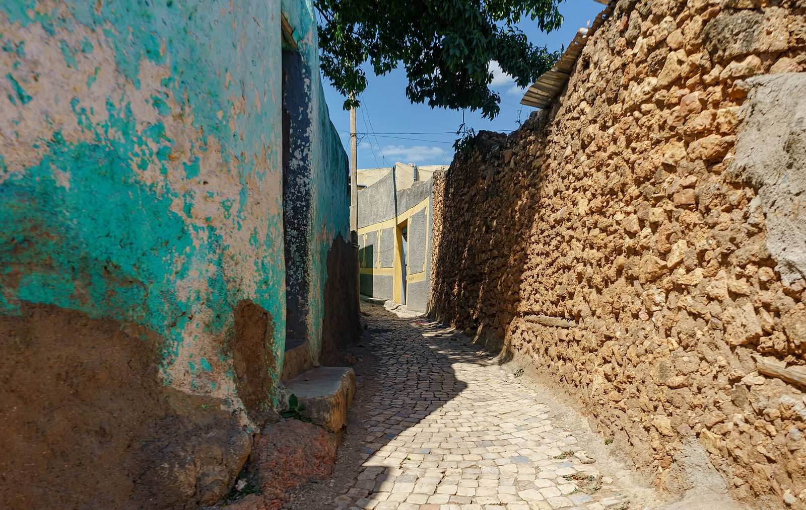 Harar Walled City + Awash NP — 5 Days
