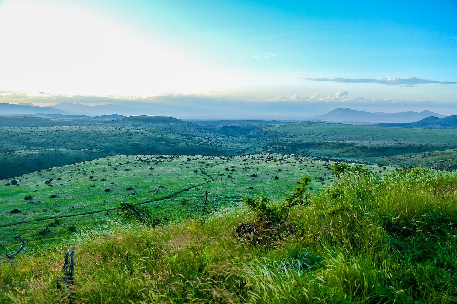 Il Ngwesi Community Conservancy