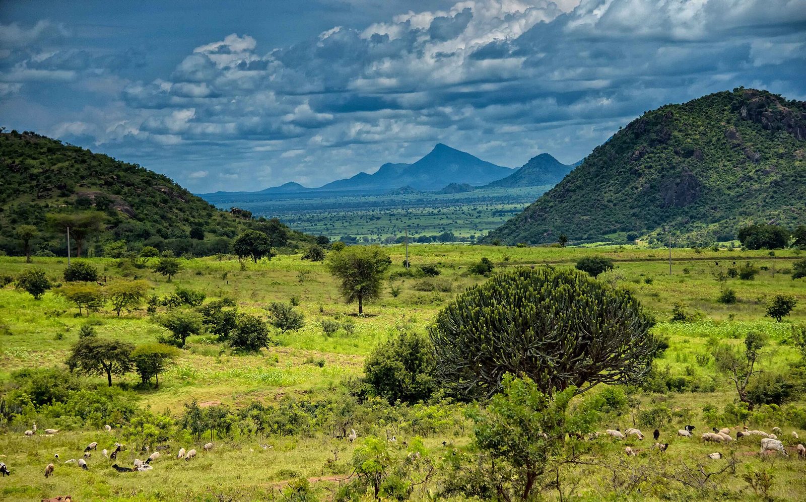 Karamoja (Ik people)