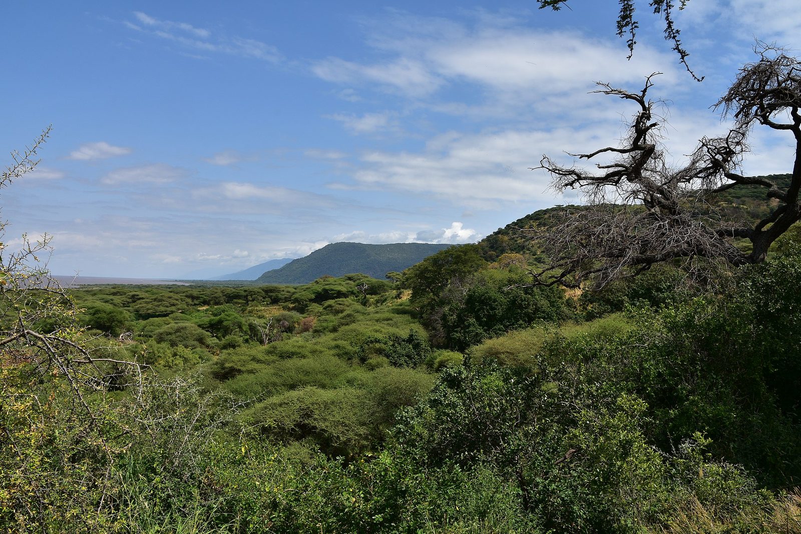 Lake Manyara National Park