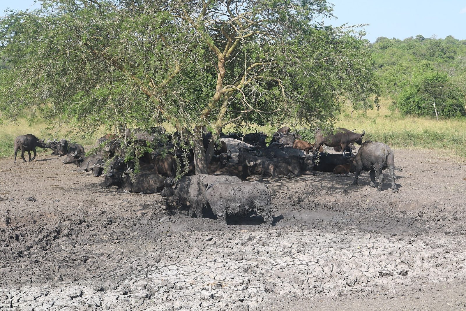 Lake Mburo National Park