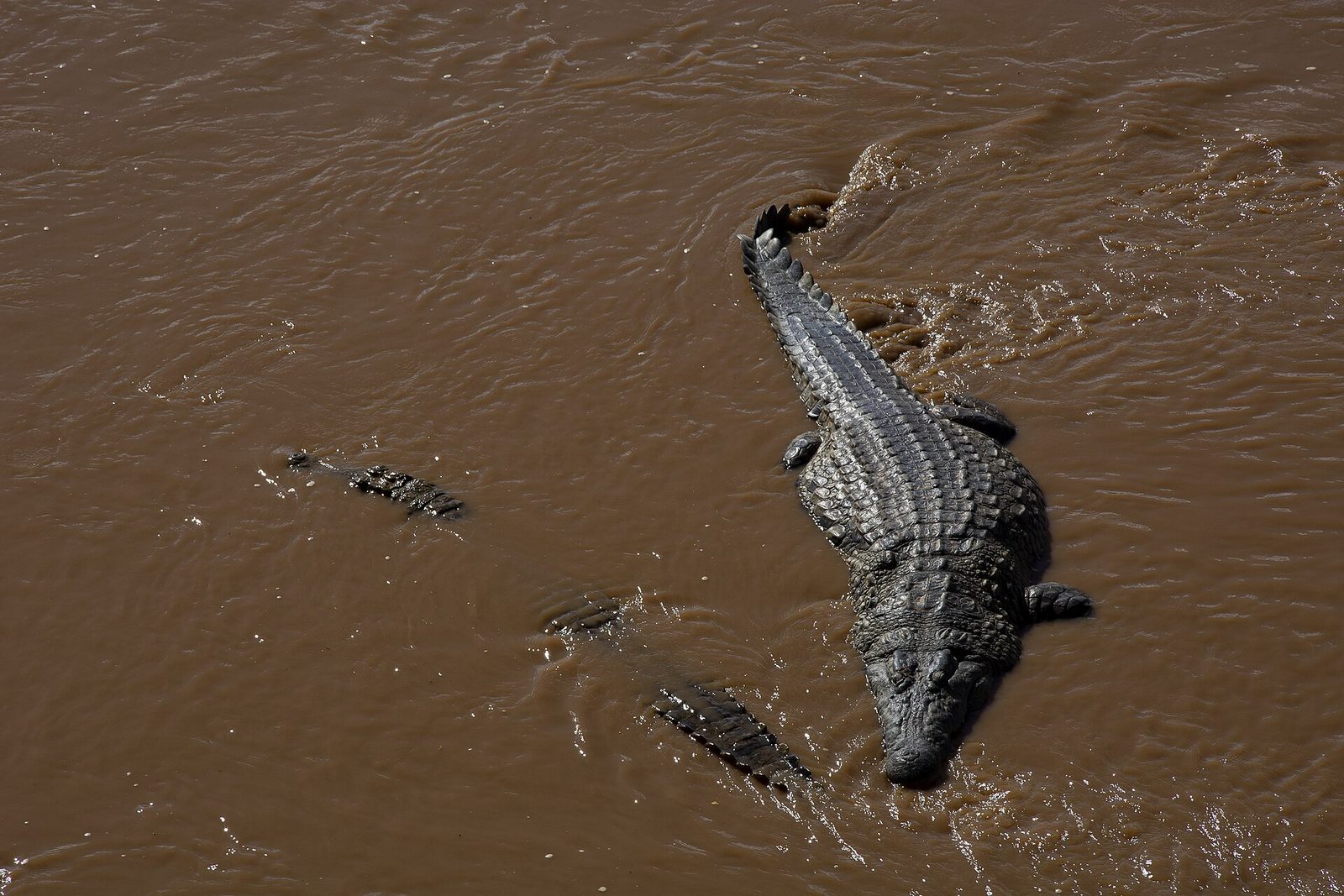 Loisaba Conservancy
