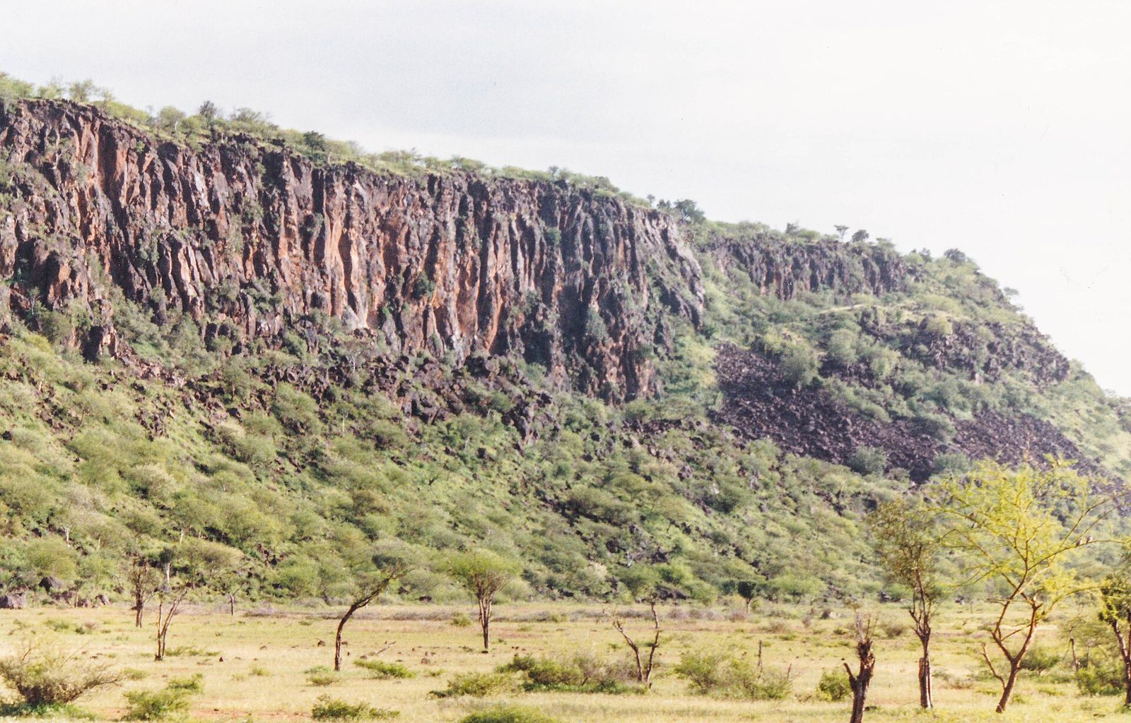 Ol Jogi Conservancy