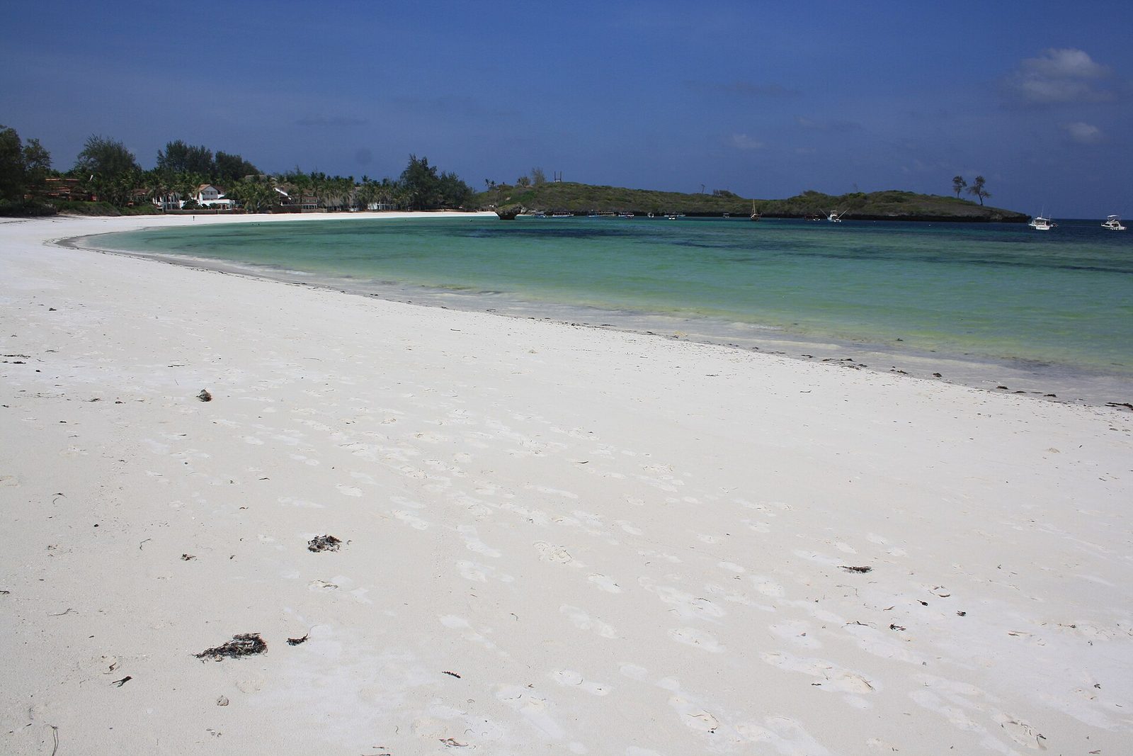 Watamu Marine & Arabuko-Sokoke — 4 Days