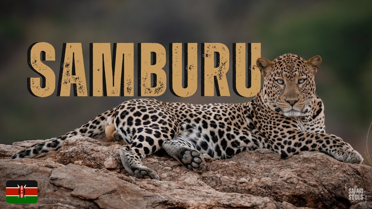 Samburu: Northern Frontier
