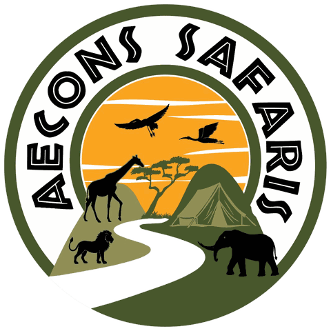 Aecons Safaris